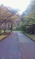 県立図書　散歩坂道