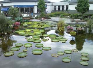 植物公園４no1