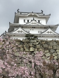 春の姫路城