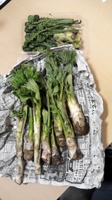 山菜