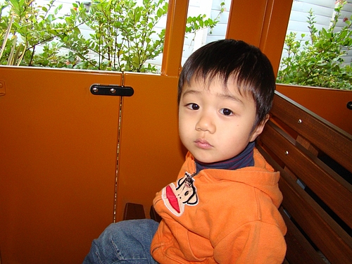 DSC03519 DSC03519
