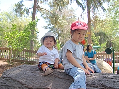 DSC04210 DSC04210