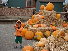 2010.10.24 727 2010.10.24 727