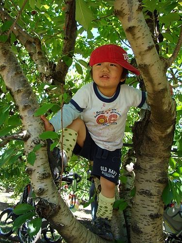 DSC04175 DSC04175