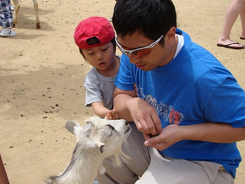 DSC04224 DSC04224