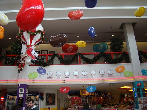 DSC03495 DSC03495