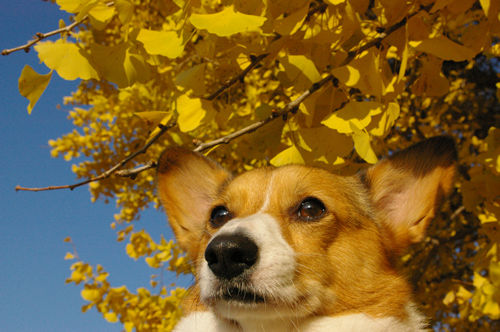101127