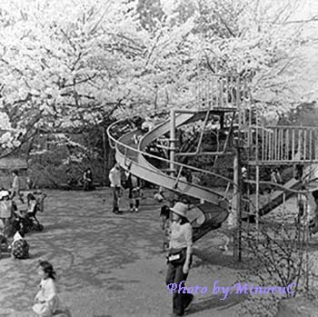 c0019131_21113390のコピー