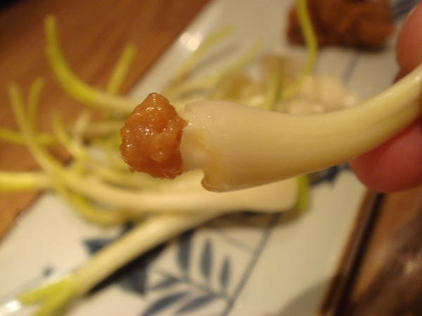 amami07