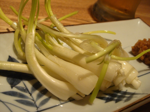 amami06