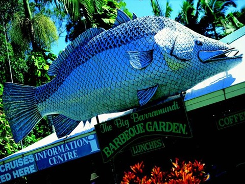 big-barramundi