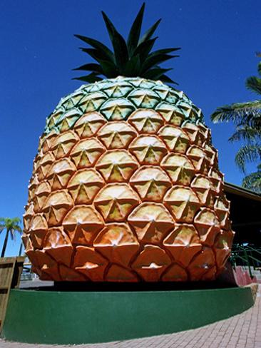 big-pineapple