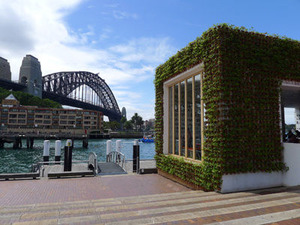 greenhouse3