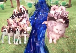 animal-beatbox-dogs-and-cats