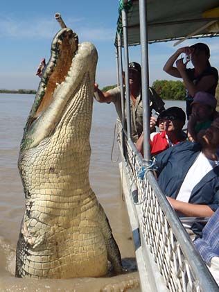 croc-brutus２