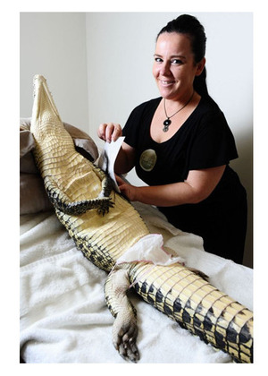 croc1