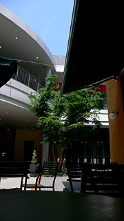 20060530