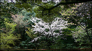 20060416