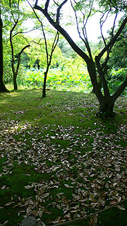 20060709