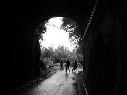 RIMG0499-1