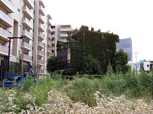 ËÌ¿·½É£¶ 2006ǯ£¹·î