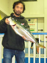 ca7388c7.jpg