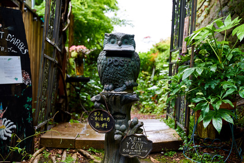 DSC09891
