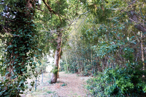 DSC09237