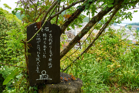 DSC09946