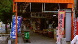 DSC00260