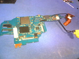 shell_25