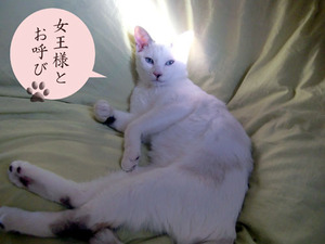 CIMG0880