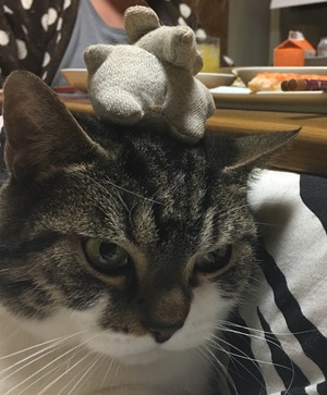 2017-11-22-19-51-06