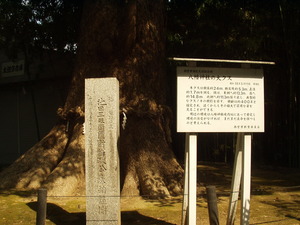 池田輝政