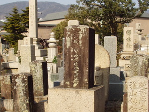 原老柳4