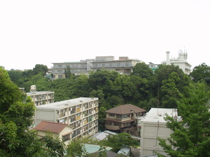 五月丘2