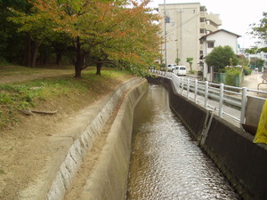 新堀川1
