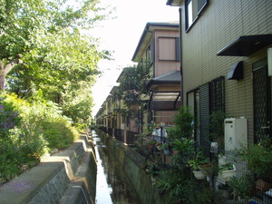 線17