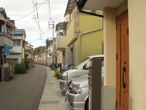 線29