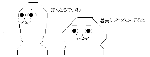 AAの画像化