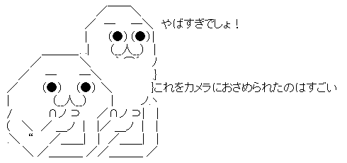 AAの画像化