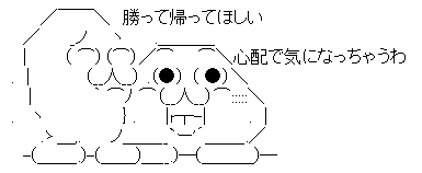 AAの画像化