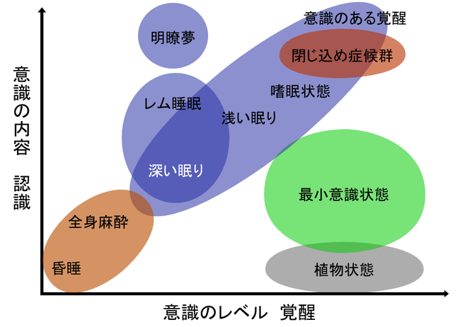 脳損傷の患者の精神状態の比較