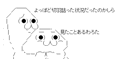 AAの画像化