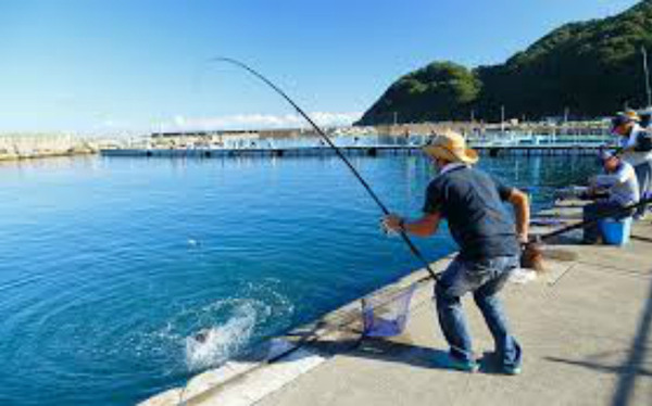 釣り