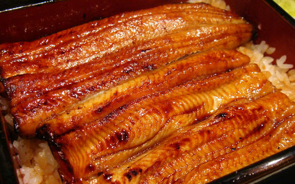 unagi