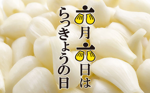 ogp_rakkyo_day