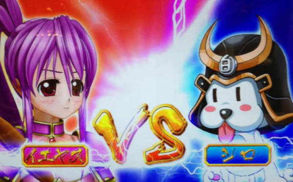 sgo-dd-shida1