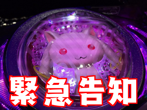 5558