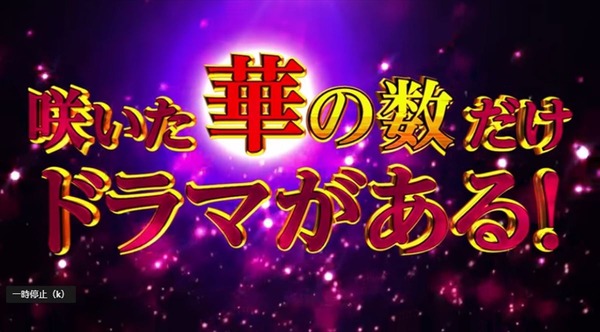 マイフラワー001